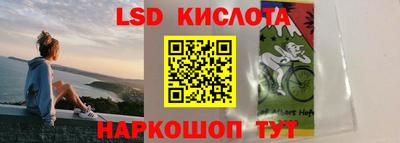 Альфа ПВП Будённовск