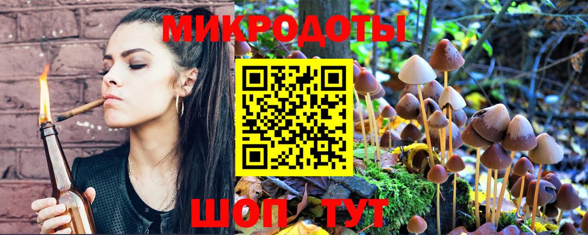 Хасавюрт  Псилоцибиновые грибы мицелий  Вход с VPN 