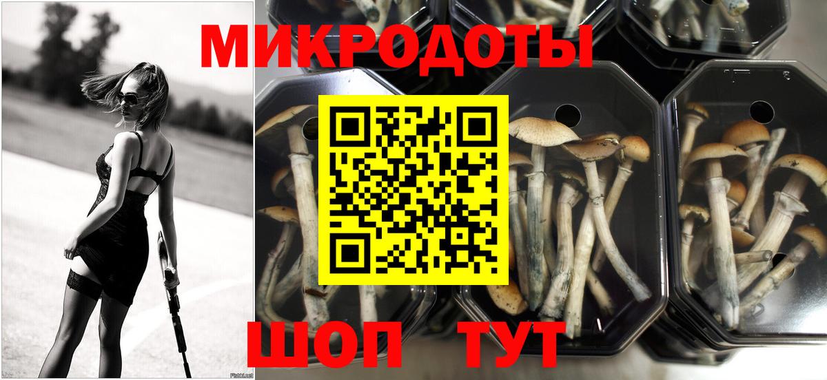 Галлюциногенные грибы Magic Shrooms Хасавюрт